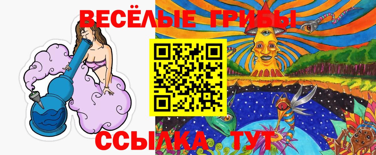 Урус-Мартан  Галлюциногенные грибы Psilocybine cubensis  Вход с VPN 
